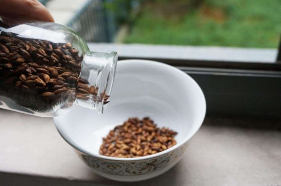 大麥茶上火嗎，喝大麥茶會不會上火？