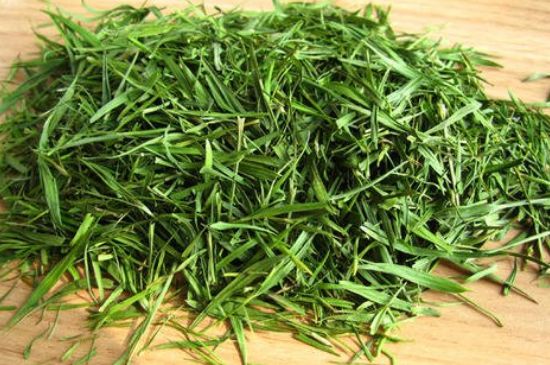 哪類人不適合喝石竹茶，石竹茶的功效與禁忌