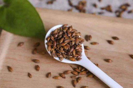 大麥茶上火嗎，喝大麥茶會不會上火？