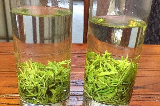 黃金茶的功效及禁忌癥，黃金茶有什么副作用嗎？