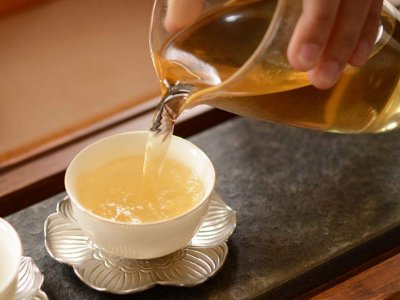 茶葉的專(zhuān)業(yè)知識(shí)，關(guān)于茶的基本知識(shí)大全