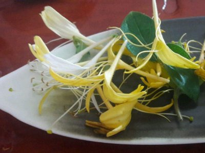 喝茶治口臭嗎，什么茶治口臭好？