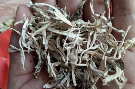 麗江雪茶的禁忌，白雪茶的副作用