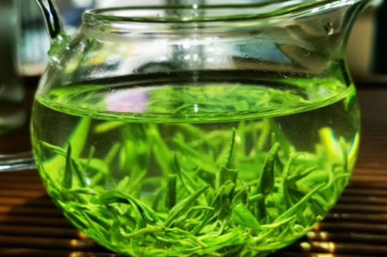 喝黃金茶禁忌，什么人不能喝黃金芽茶？