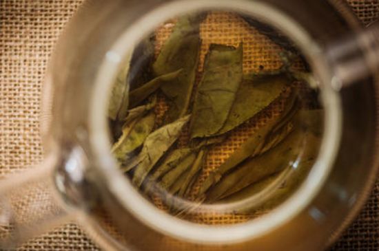 苦丁茶副作用，苦丁可以經(jīng)常喝嗎？