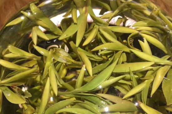 八大茶系都有哪幾種，八大茶系都是什么名字