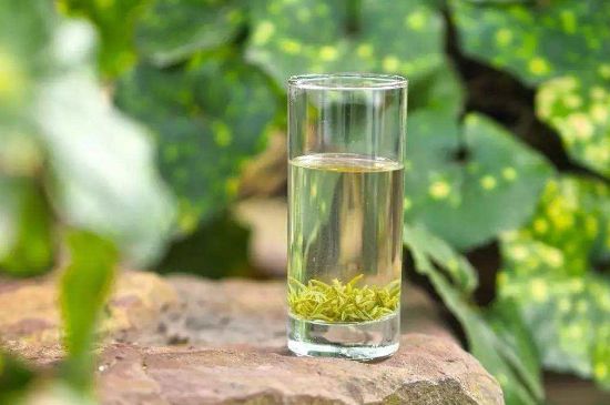 碧螺春沖泡三要素，碧螺春怎么泡才正確？