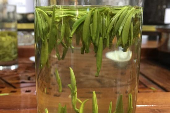 雀舌茶的副作用，雀舌茶什么人不能喝？