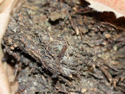 長(zhǎng)期飲用黑茶的副作用，黑茶的功效與作用