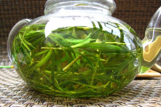 竹葉茶的禁忌，竹葉泡茶的功效禁忌