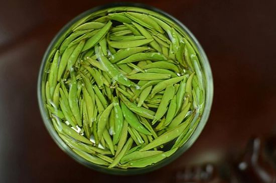 雀舌茶什么人不能喝，雀舌茶的功效與禁忌