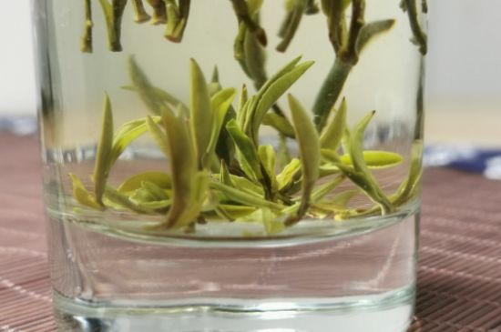 黃山毛峰怎么沖泡，黃山毛峰要多少溫度的水泡？