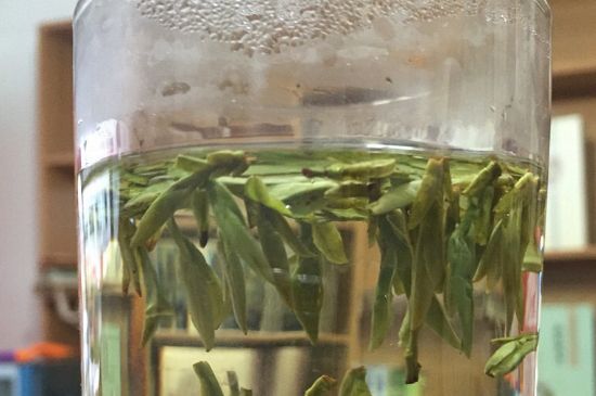 煮茶器能煮龍井嗎，龍井茶能不能用煮茶器圖