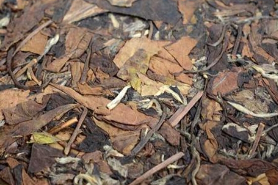 福鼎白茶能長時間悶泡嗎，老白茶可以悶著喝嗎？