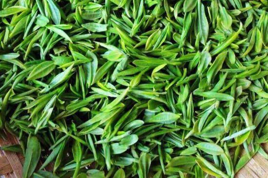 云霧綠茶的功效及禁忌，哪些人不適合喝云霧茶