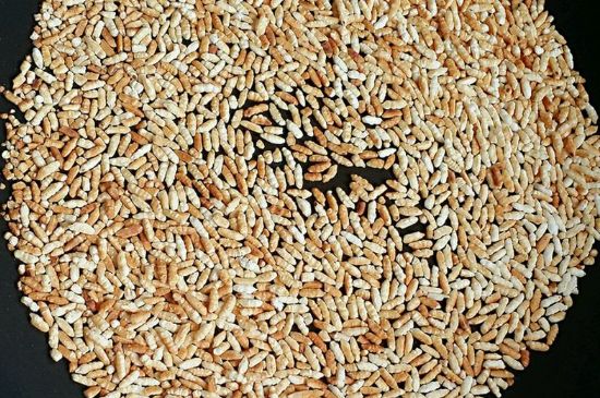 玄米茶是紅茶嗎，玄米茶怎么喝