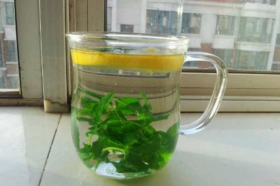 薄荷茶的功效與作用，喝薄荷茶有什么好處？