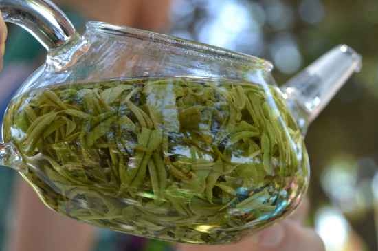 新手學(xué)泡茶的基本常識(shí)，從零開始學(xué)泡茶