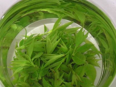 茶葉具有什么功效，茶葉的功效與作用大全