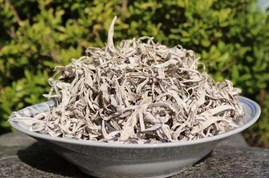 麗江雪茶的功效與作用，白雪茶有什么功效和作用