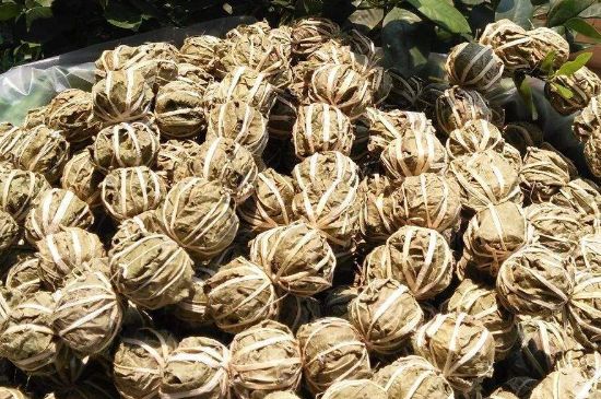 鷓鴣茶的禁忌，海南鷓鴣茶副作用