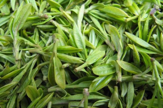 世界最貴的茶葉排行榜，十大最貴的茶