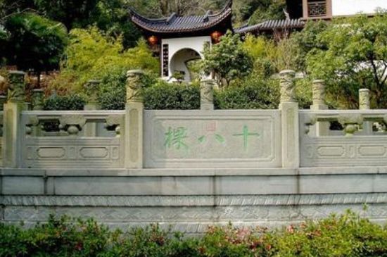 世界最貴的茶葉排行榜，十大最貴的茶