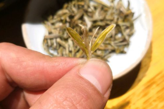 六大茶類哪種適合長期存放，日常如何保存方法一覽？