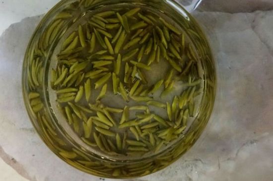 茶葉在哪里買比較好，哪里能買到好的茶葉