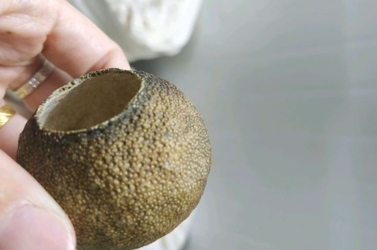 小青柑多少錢一盒，新會(huì)小青柑普茶價(jià)格一斤多少