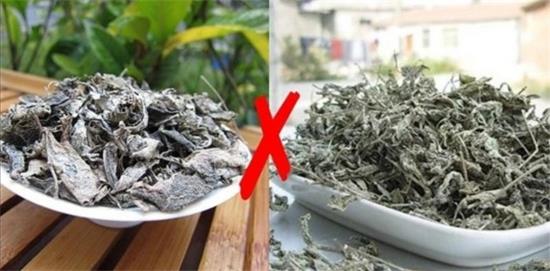 張家界茅巖莓茶與藤茶是同一種茶嗎，藤茶跟莓茶一不一樣？