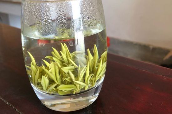 安吉白茶耐寒嗎，白茶適合放冰箱嗎