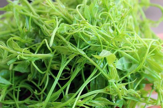 茅巖莓茶別名是什么，莓茶別名叫藤茶嗎？