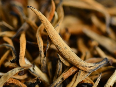 怎么知道什么茶葉適合自己，怎么判斷自己適合喝什么茶？