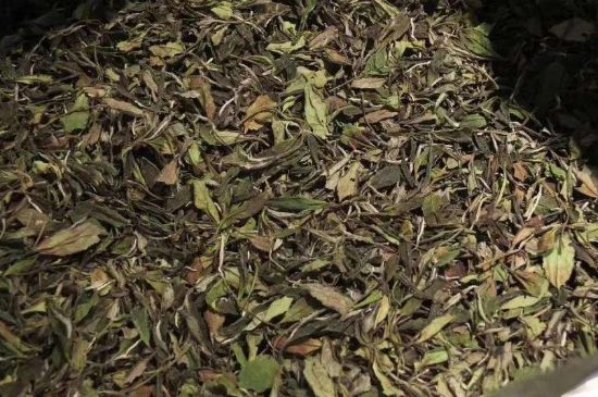 陳茶還是新茶好，茶葉是新茶好喝還是陳茶好喝