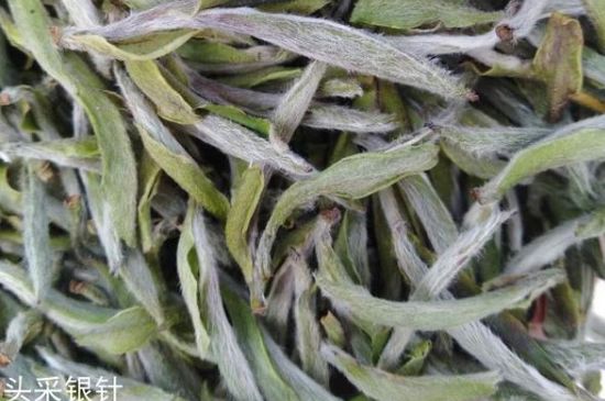 春茶季怎么辨別白毫銀針的好壞，好的白毫銀針如何選購？