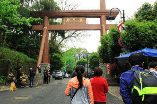 杭州買龍井茶攻略，怎么買到正宗的西湖龍井？