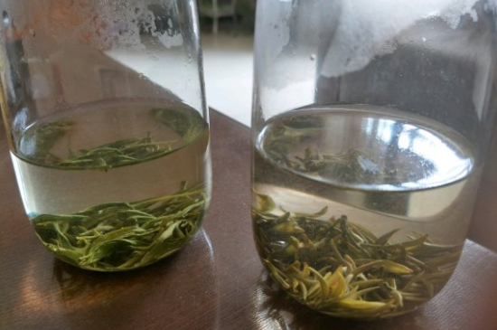 真假碧螺春泡水后區(qū)別，蘇州洞庭碧螺春怎樣鑒別好壞？