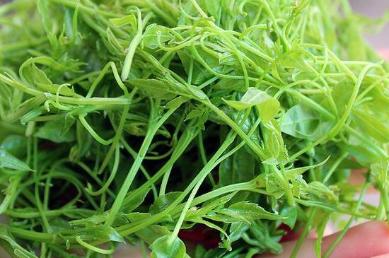 茅巖莓茶保質(zhì)期有多久，張家界莓茶存放時間長了還能喝嗎？