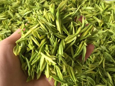 白茶品質(zhì)如何區(qū)分，白茶的優(yōu)劣質(zhì)量辨別方法