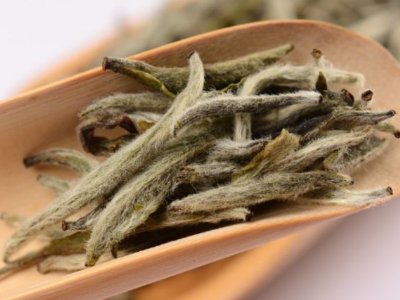 白毫銀針?lè)艓啄曜詈?，白毫銀針什么年份最好？