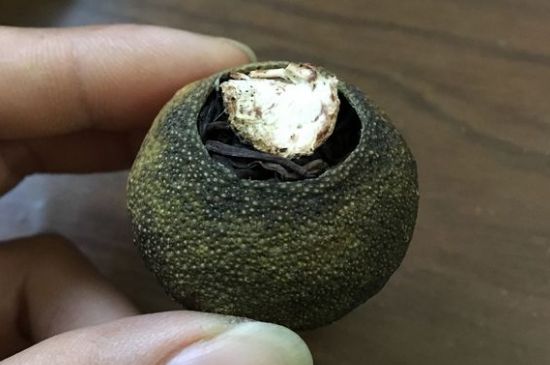 怎么知道小青柑是真的假的圖片，如何區(qū)分真假新會小青柑