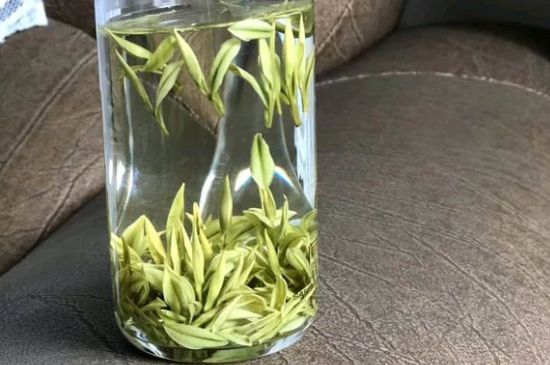 安吉白茶夏天怎么保存，安吉白茶能冷凍儲存嗎？