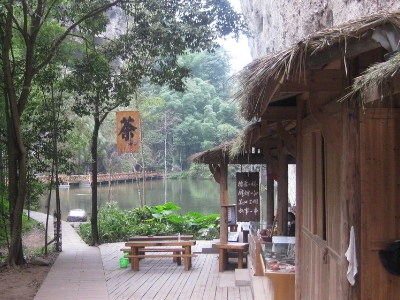 實體店買茶葉的技巧，新手買茶須知