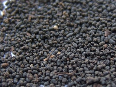 圓形顆粒狀茶是什么茶，像飼料一樣一粒粒的是什么茶？