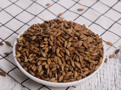 圓形顆粒狀茶是什么茶，像飼料一樣一粒粒的是什么茶？