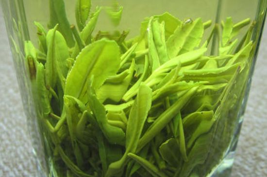 哪種茶葉可以放冰箱，哪些茶不能放冰箱？