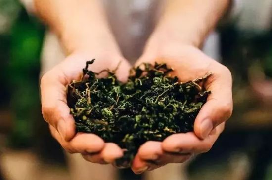 茶葉怎么炒制才香，怎樣炒茶葉更香？