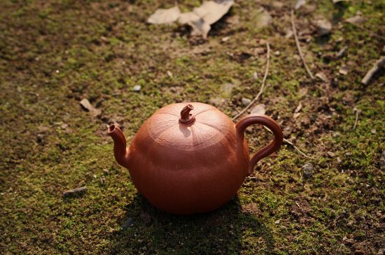 紫砂壺泡什么茶最佳，紫砂壺一般泡什么茶？