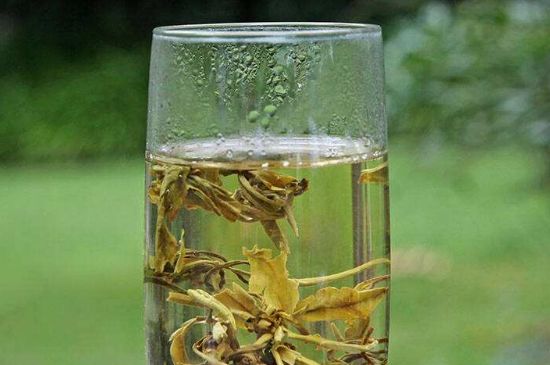 茉莉龍珠什么人不能喝，茉莉龍珠茶什么體質(zhì)不能喝？